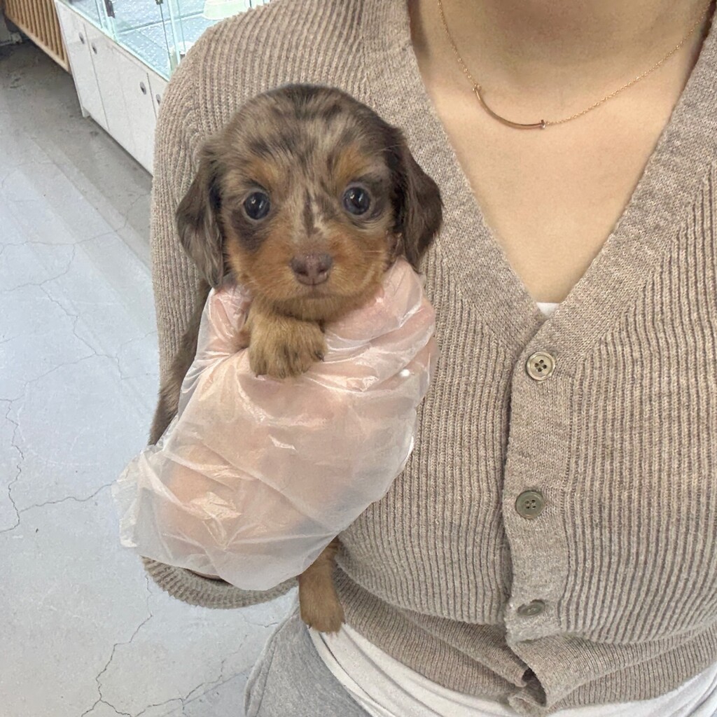 Ȯ�� �̹���