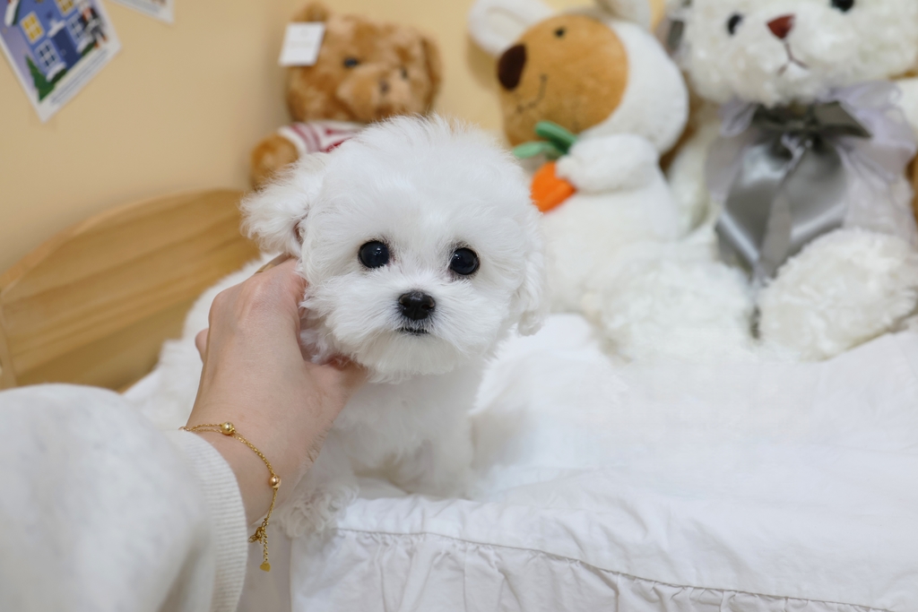 Ȯ�� �̹���