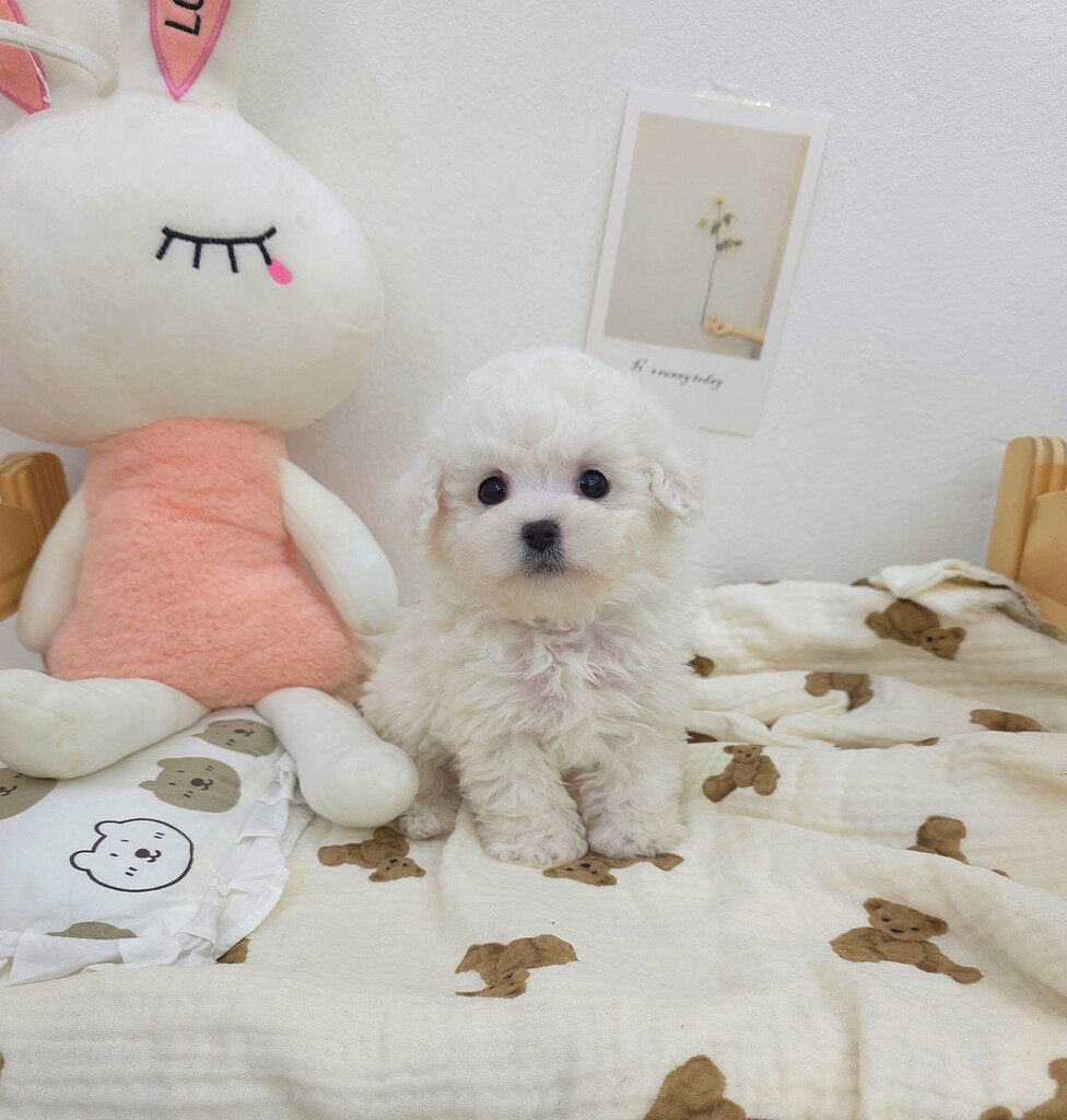 Ȯ�� �̹���