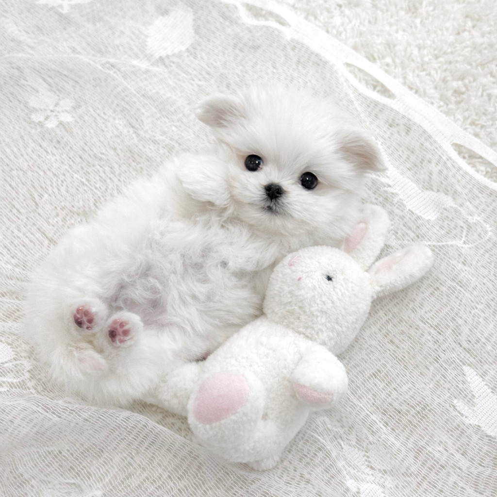 Ȯ�� �̹���