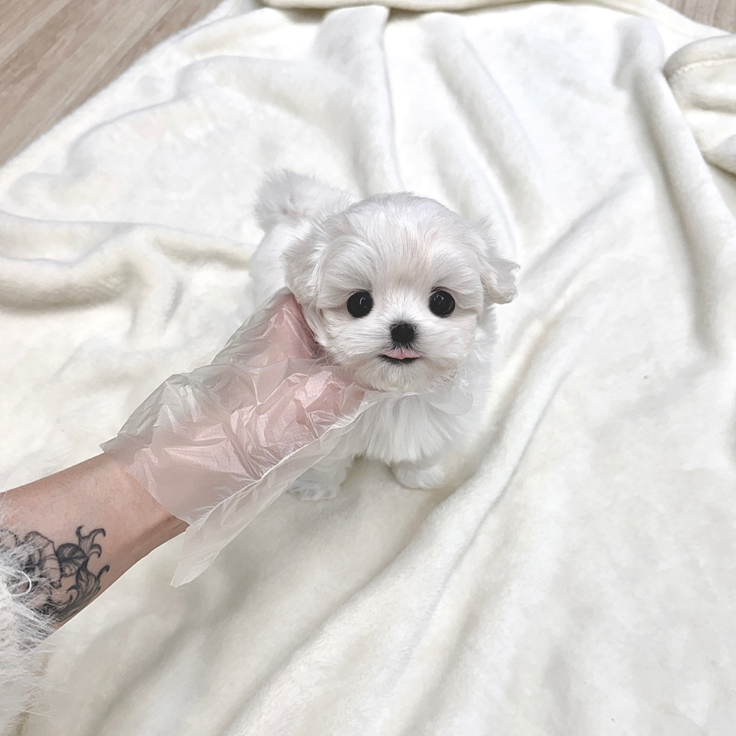 Ȯ�� �̹���