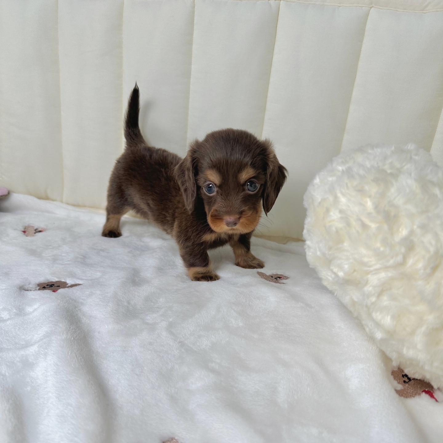 Ȯ�� �̹���