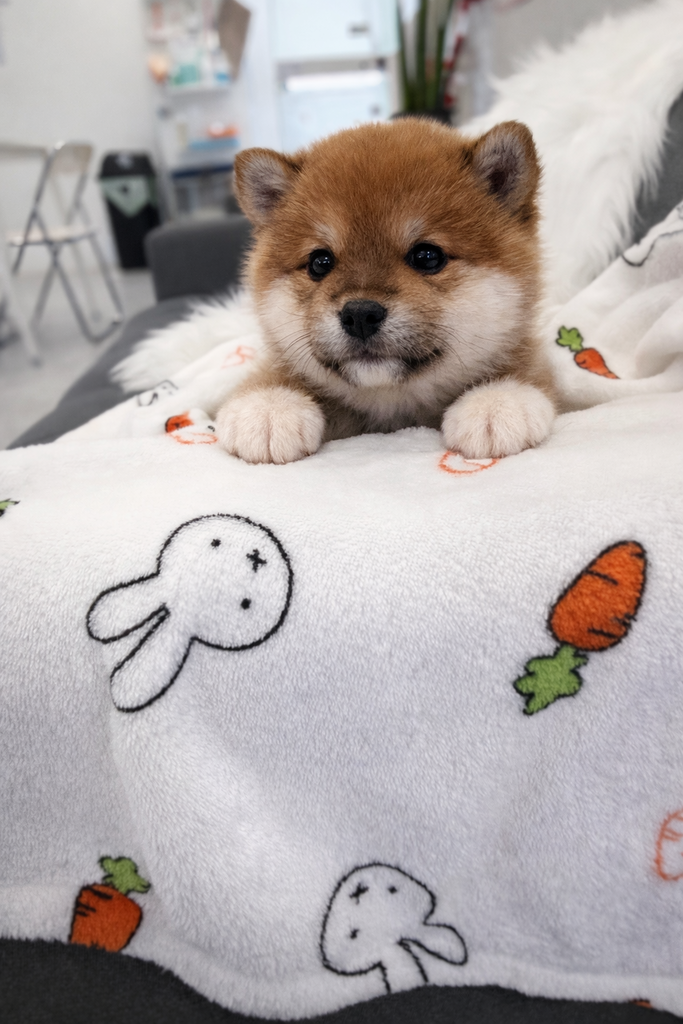 Ȯ�� �̹���