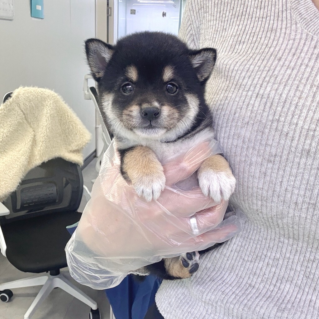 Ȯ�� �̹���