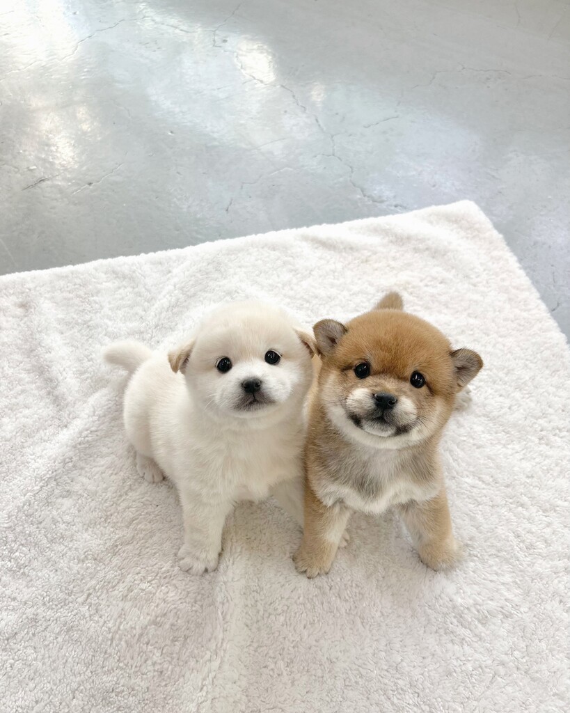 Ȯ�� �̹���