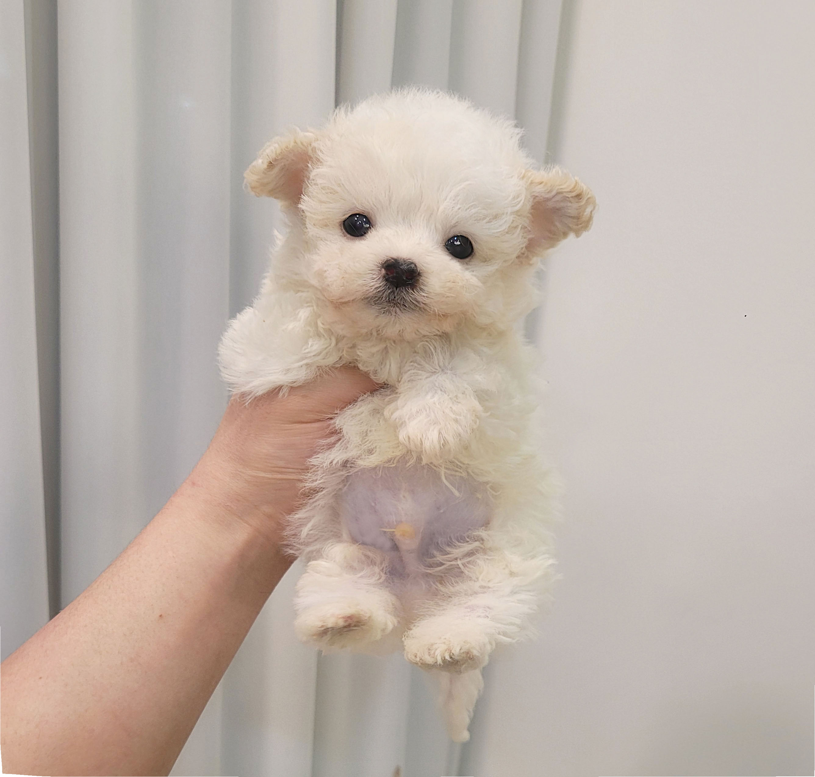 Ȯ�� �̹���