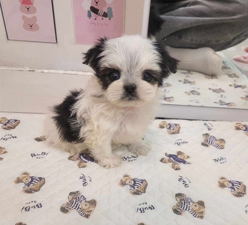 Ȯ�� �̹���