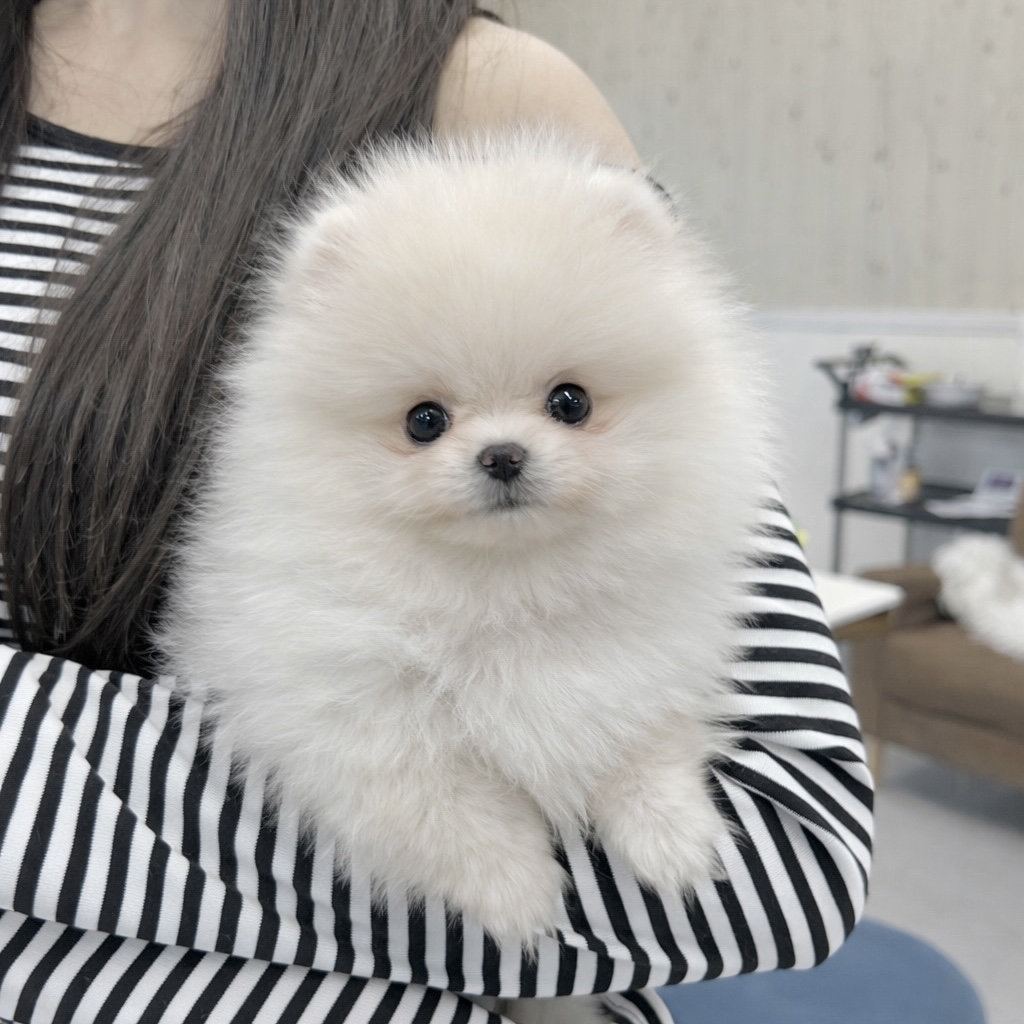 Ȯ�� �̹���