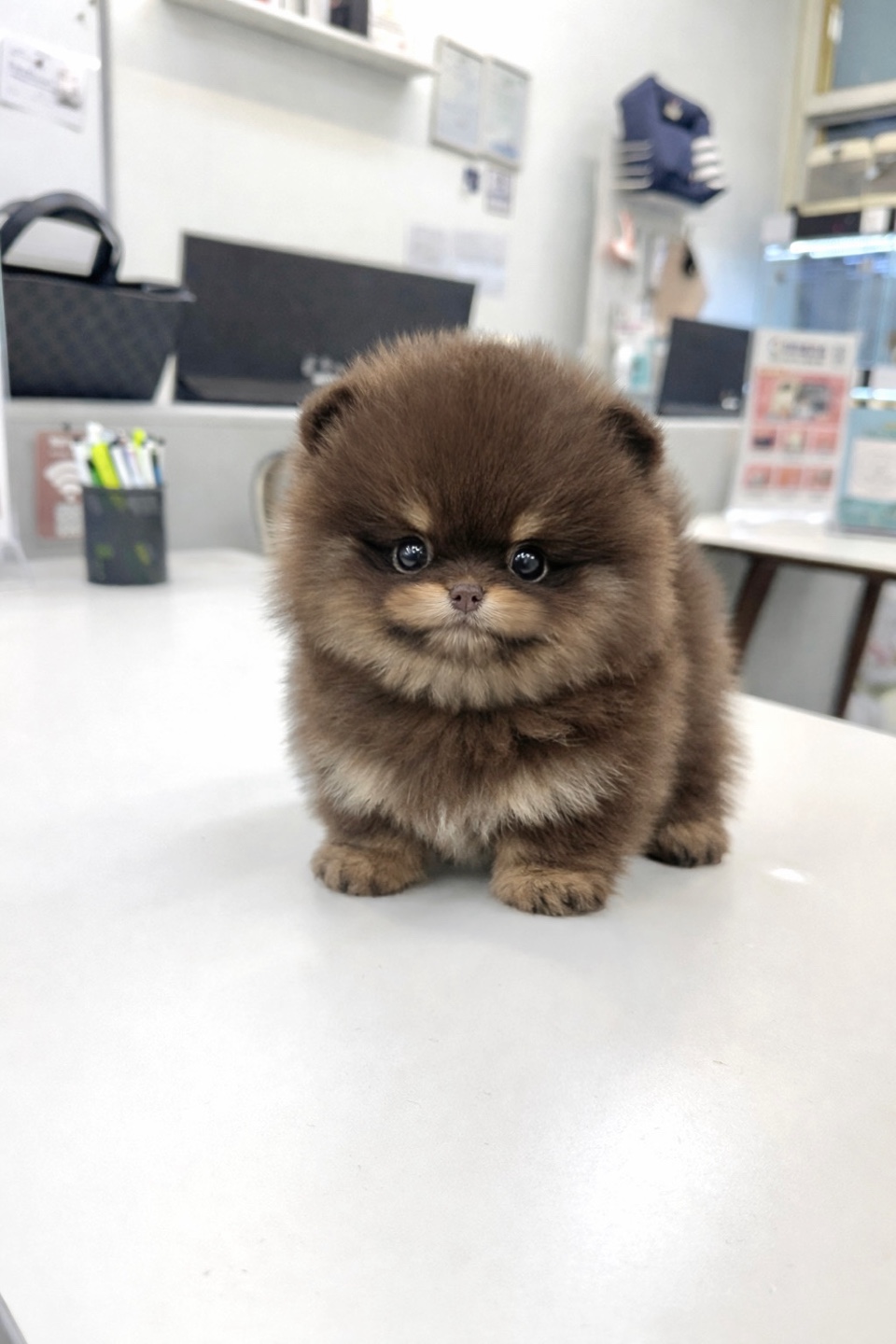 Ȯ�� �̹���