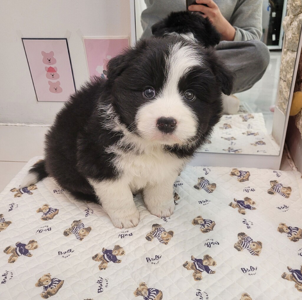 Ȯ�� �̹���