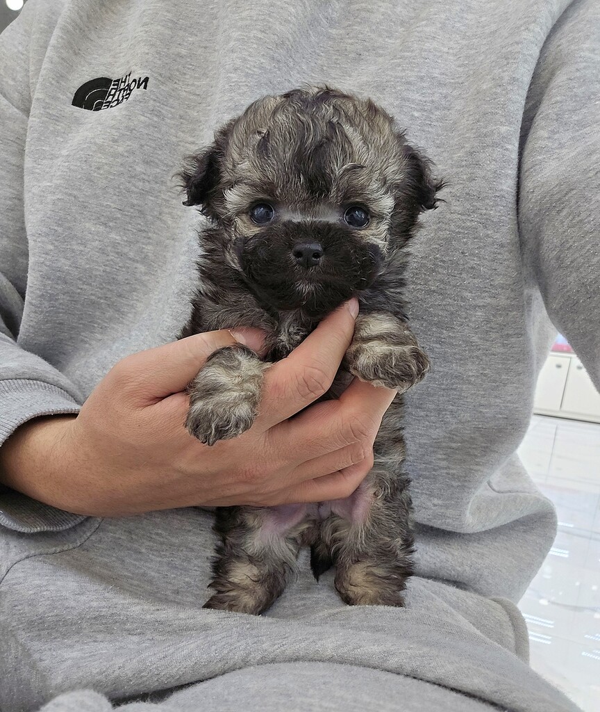 Ȯ�� �̹���