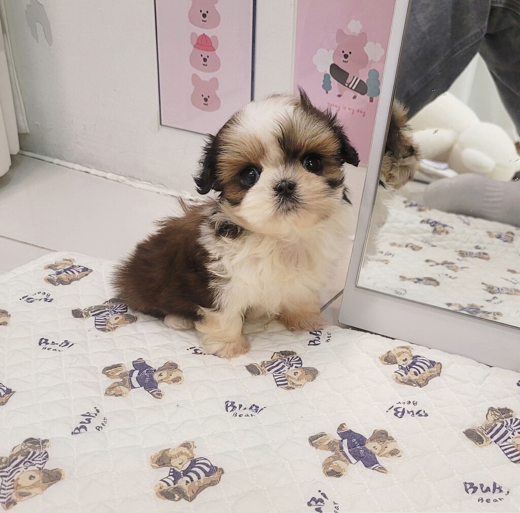 Ȯ�� �̹���