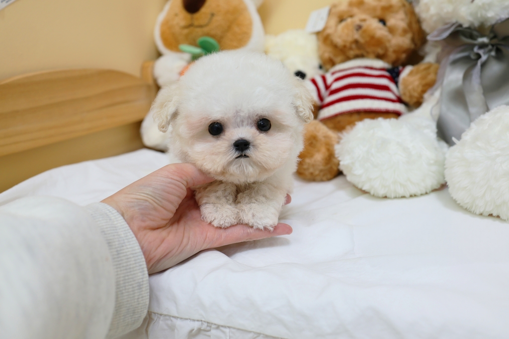 Ȯ�� �̹���