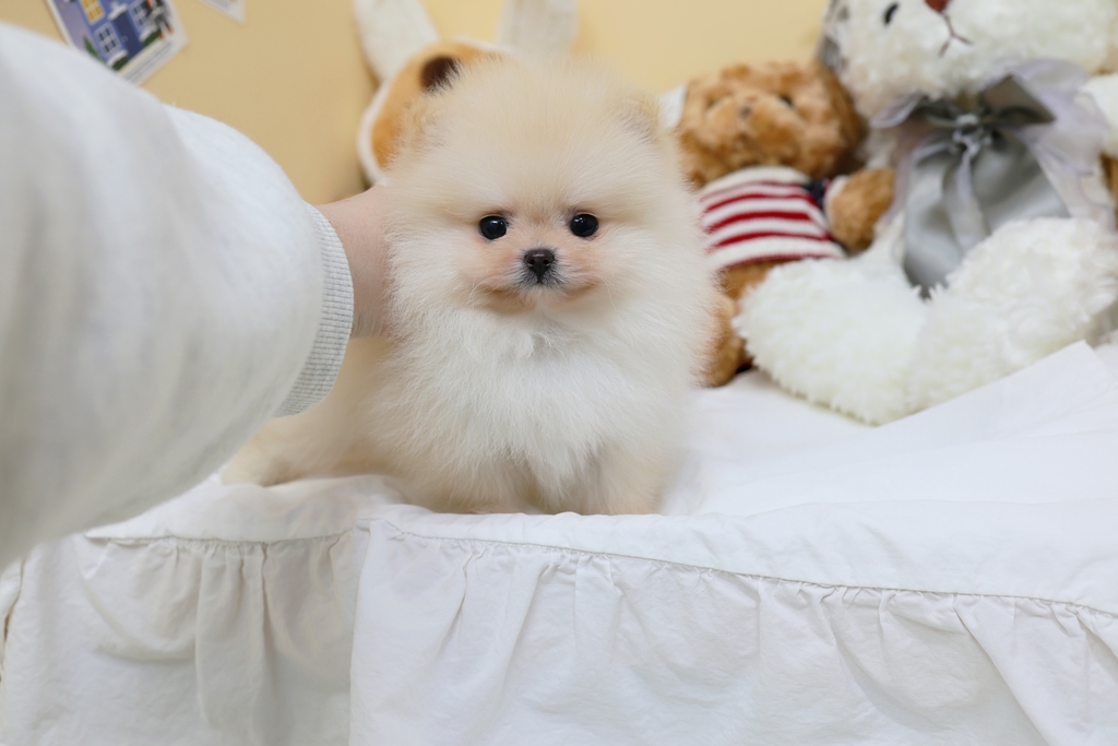 Ȯ�� �̹���