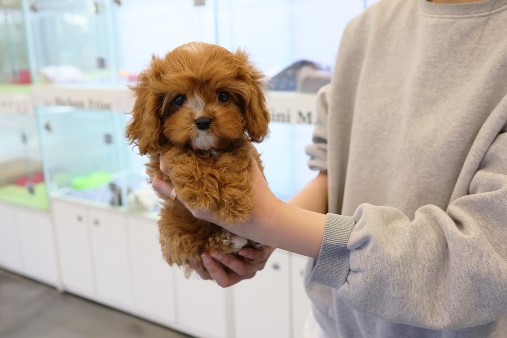 Ȯ�� �̹���