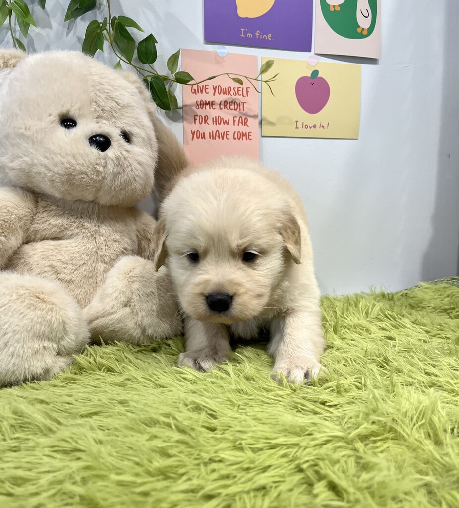 Ȯ�� �̹���