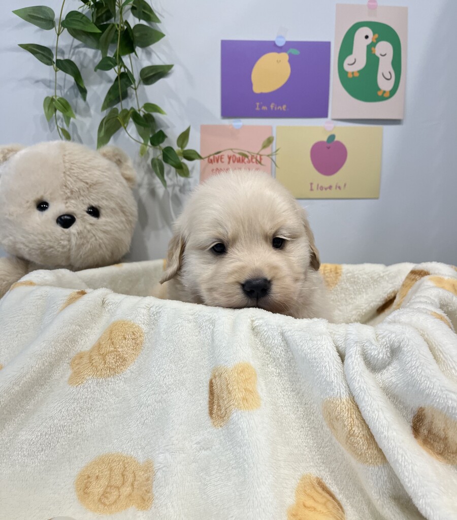 Ȯ�� �̹���