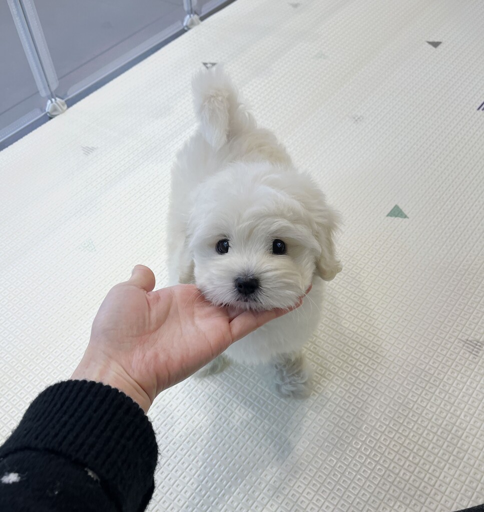 Ȯ�� �̹���