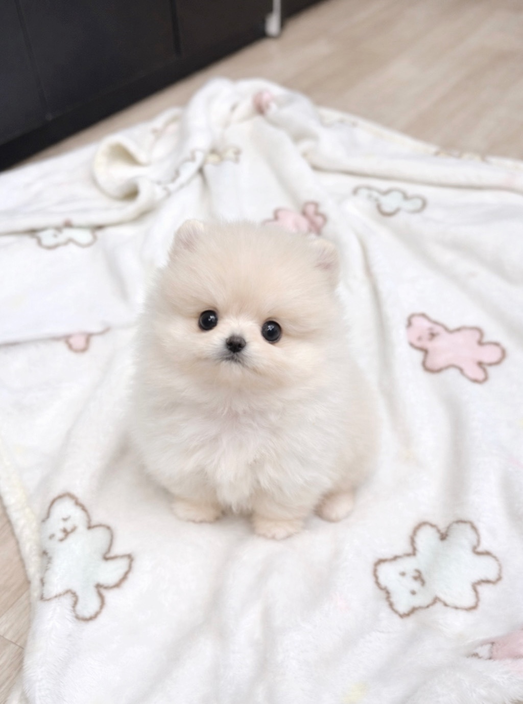 Ȯ�� �̹���