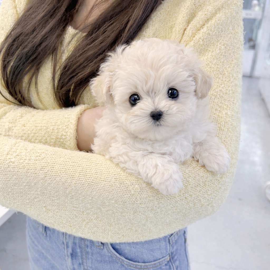 Ȯ�� �̹���