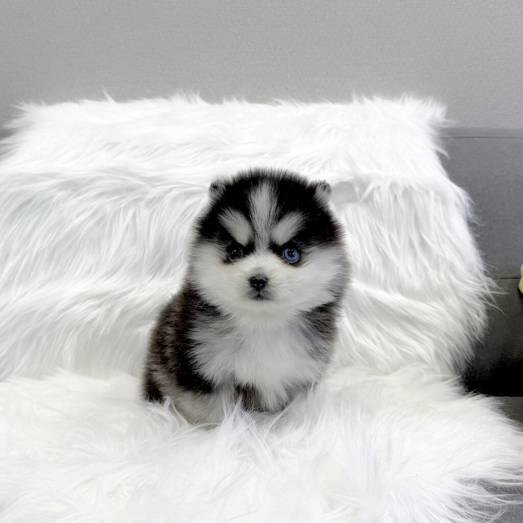 Ȯ�� �̹���