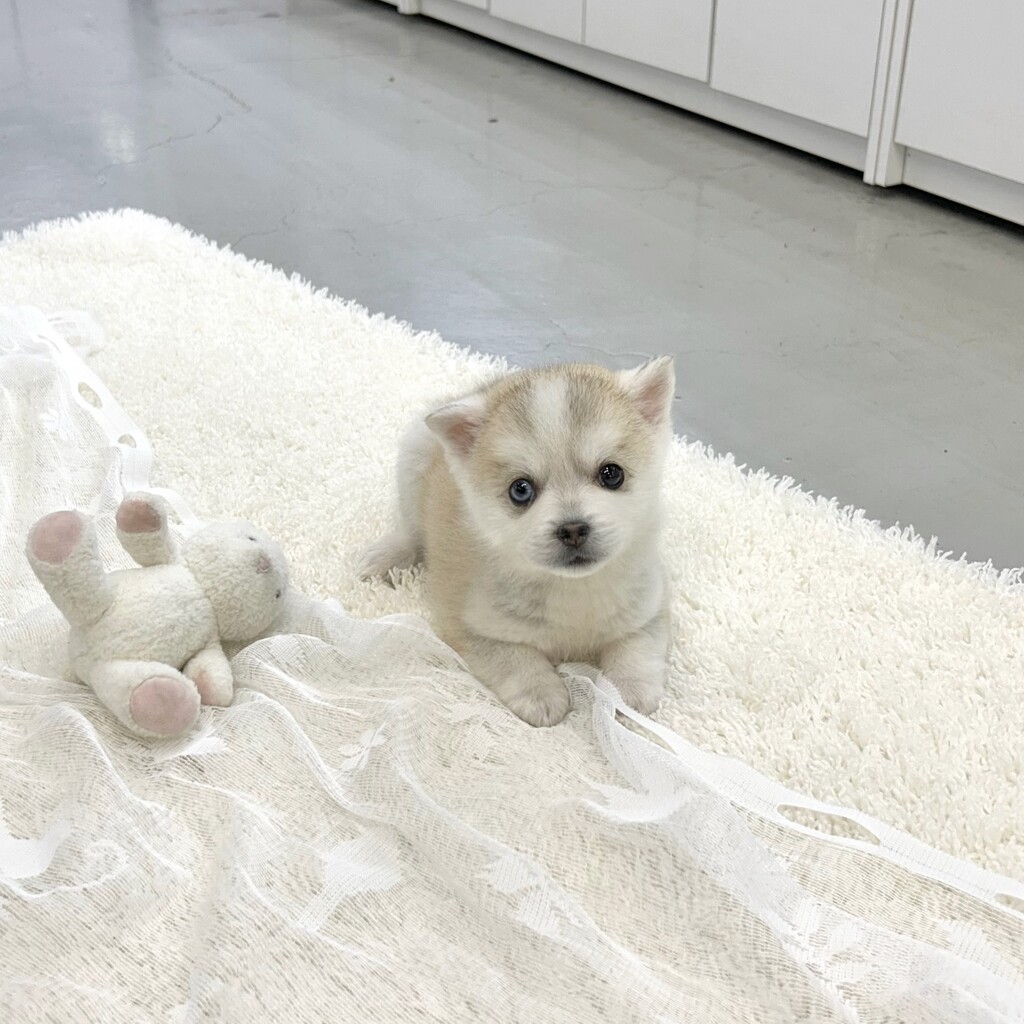 Ȯ�� �̹���