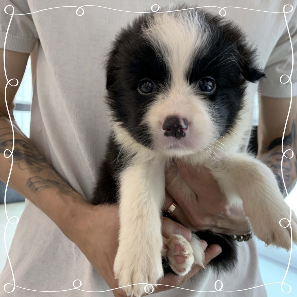 Ȯ�� �̹���