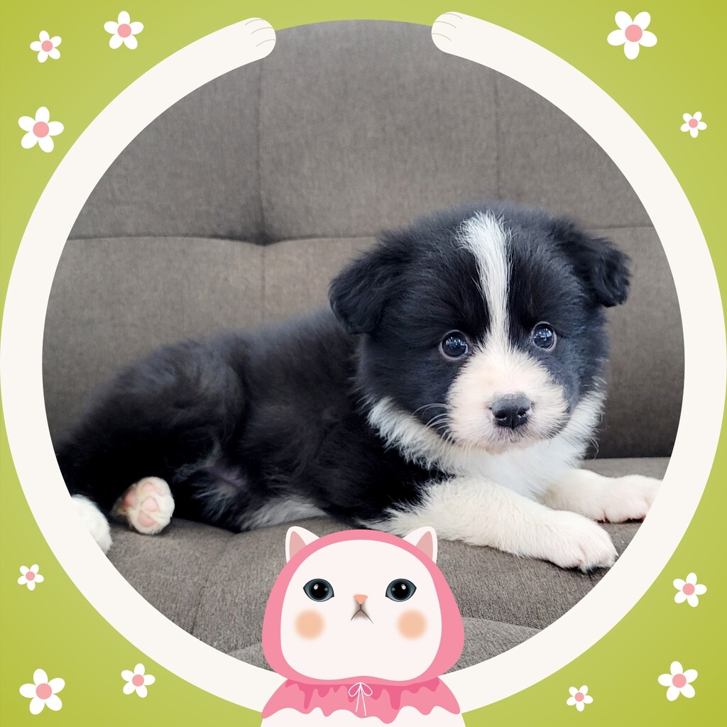 Ȯ�� �̹���