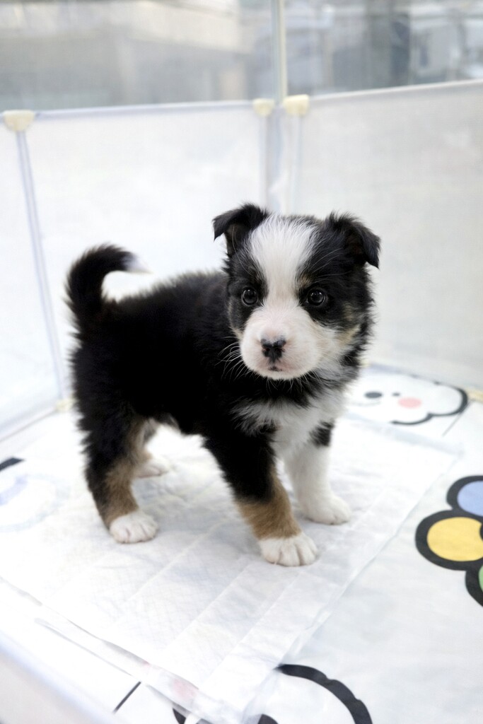 Ȯ�� �̹���