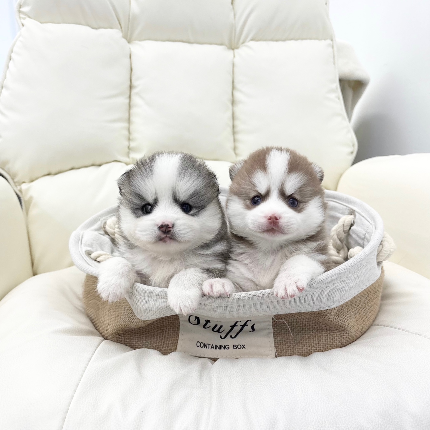 Ȯ�� �̹���