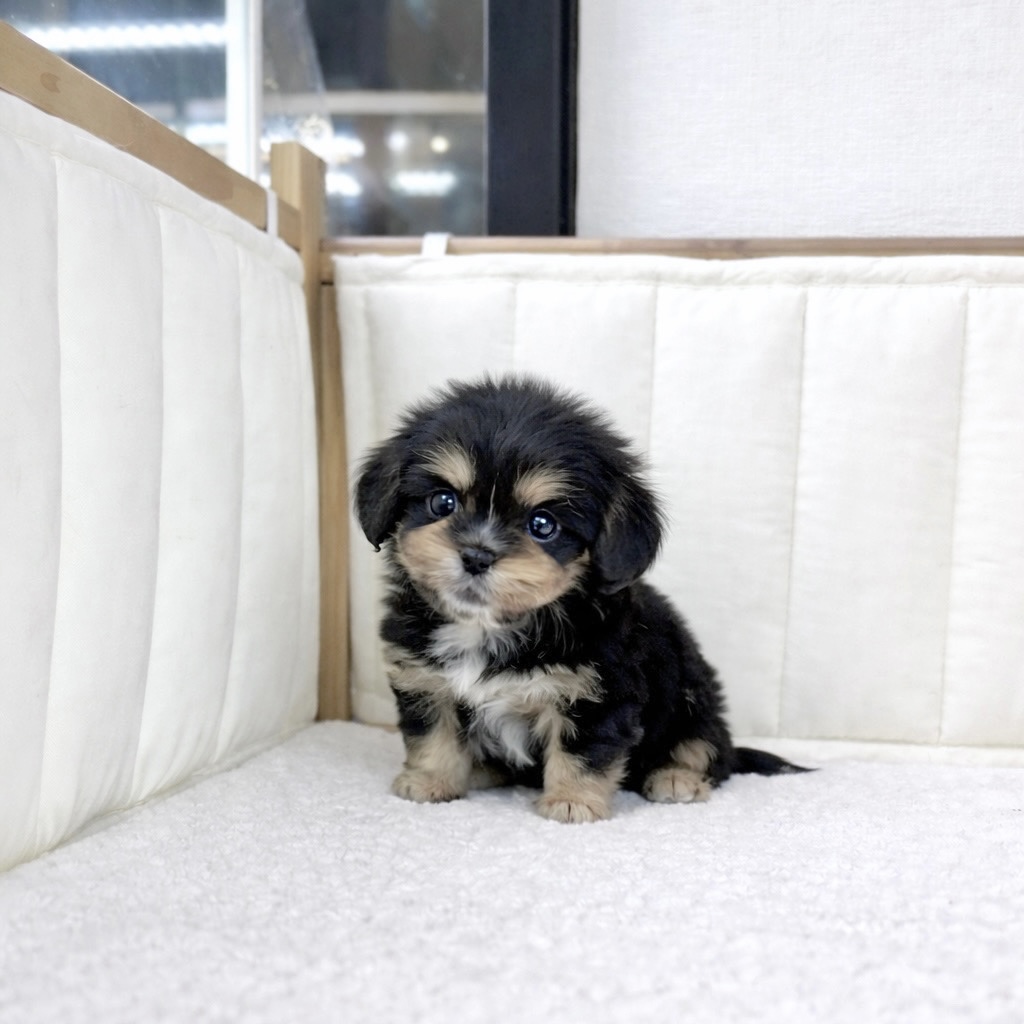 Ȯ�� �̹���