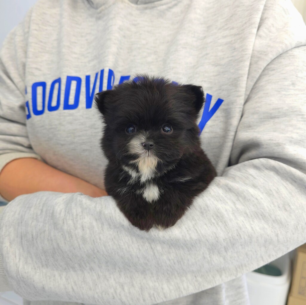 Ȯ�� �̹���