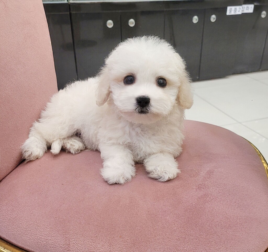 Ȯ�� �̹���