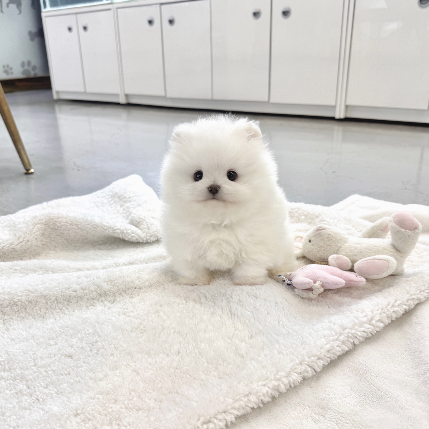 Ȯ�� �̹���