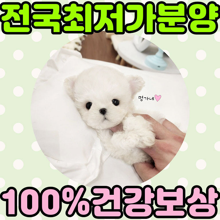 Ȯ�� �̹���