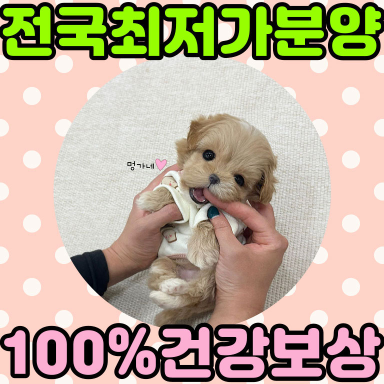 Ȯ�� �̹���