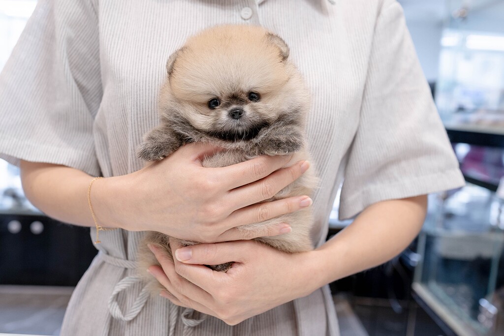 Ȯ�� �̹���