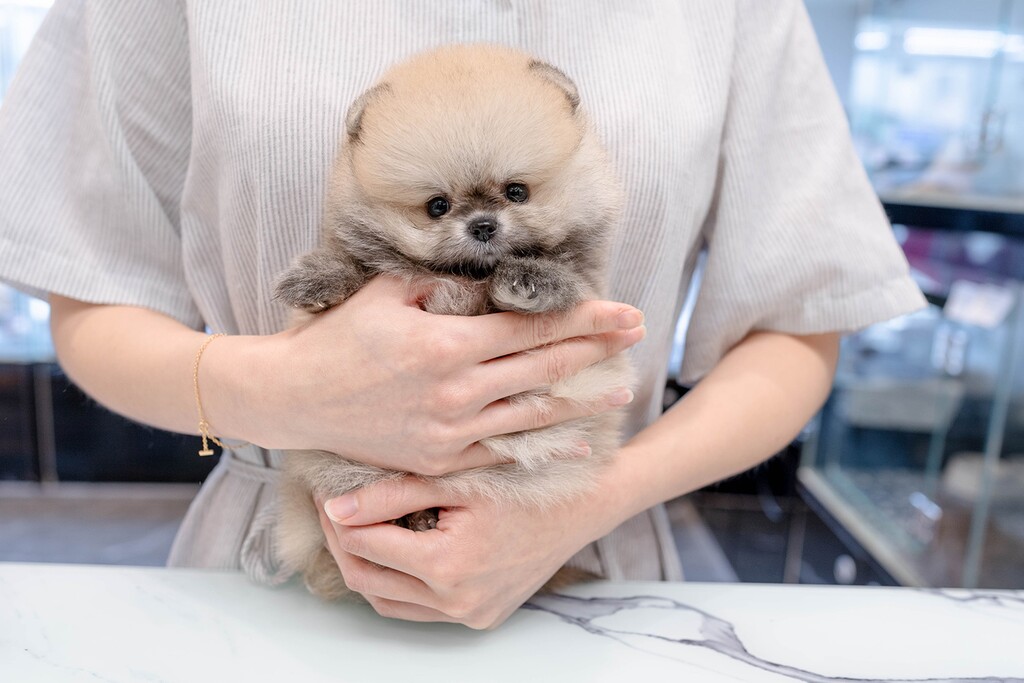 Ȯ�� �̹���