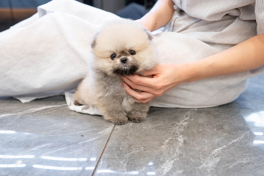 Ȯ�� �̹���