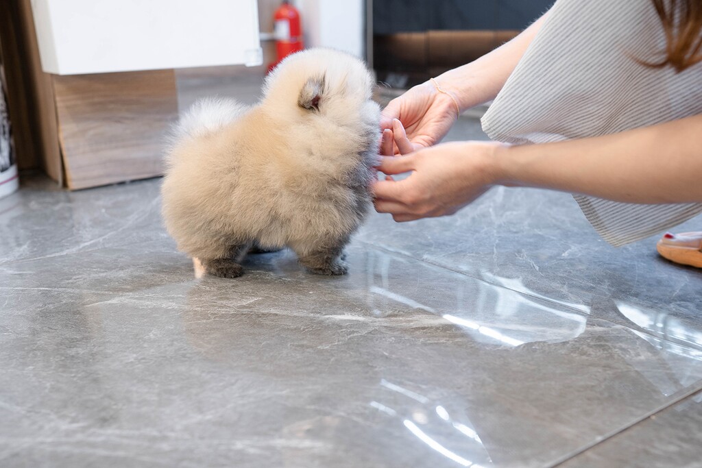 Ȯ�� �̹���