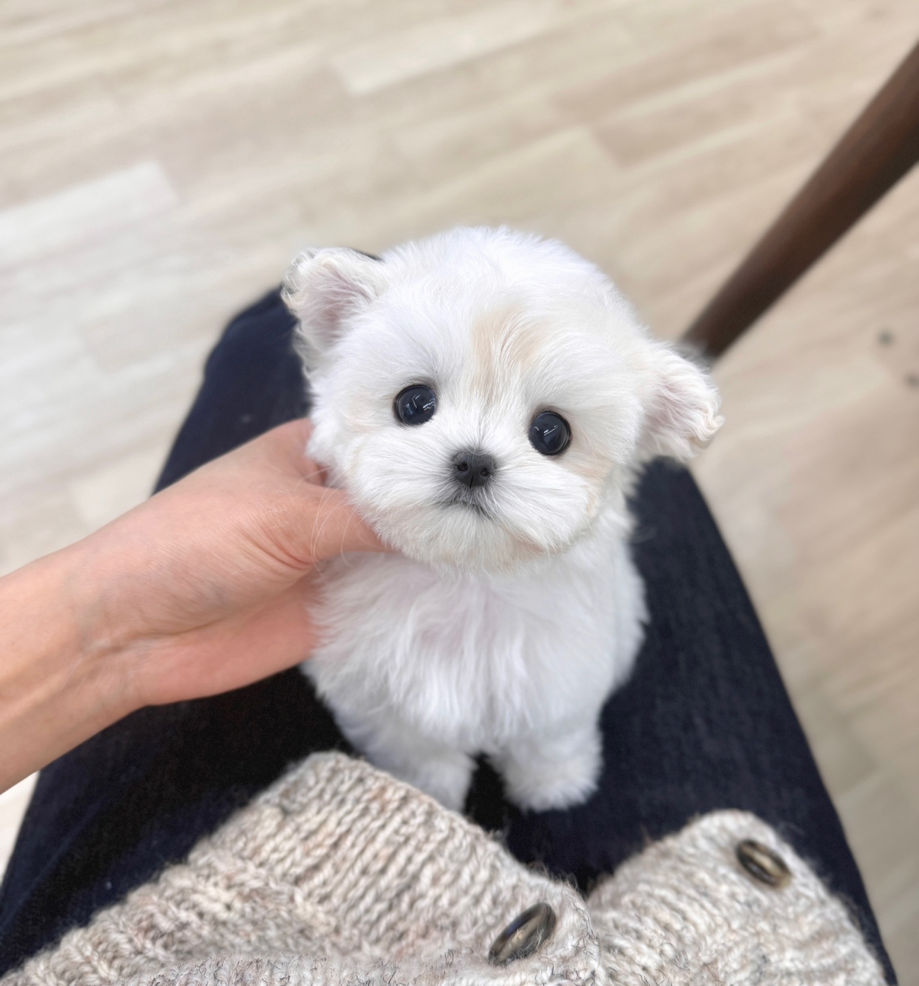 Ȯ�� �̹���