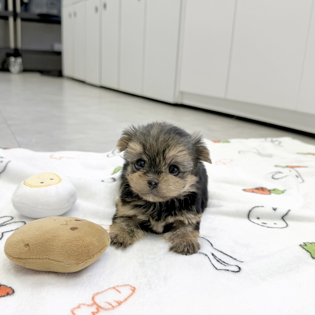 Ȯ�� �̹���