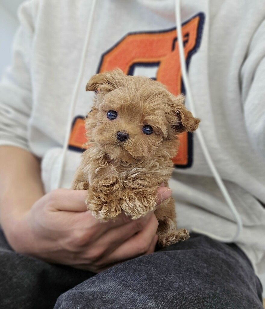 Ȯ�� �̹���