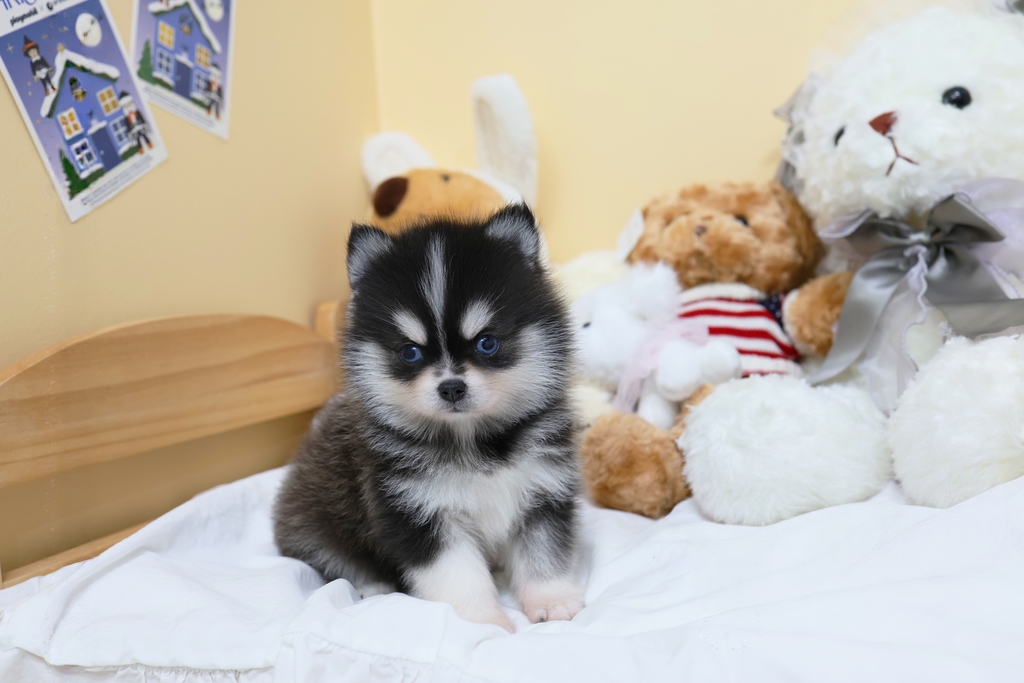 Ȯ�� �̹���