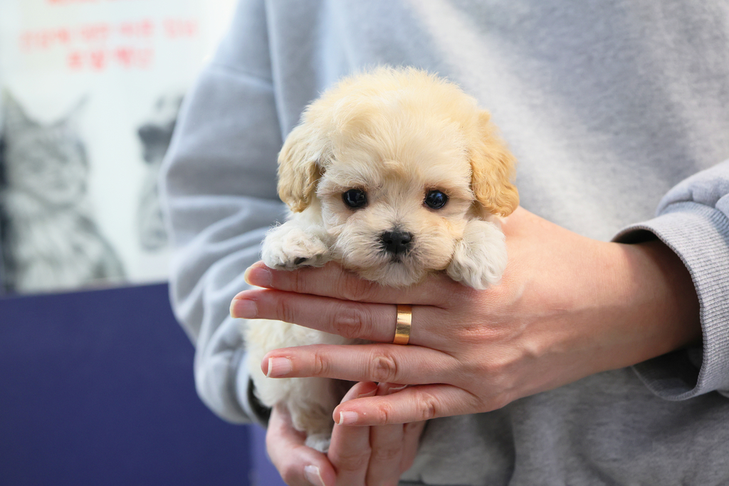 Ȯ�� �̹���