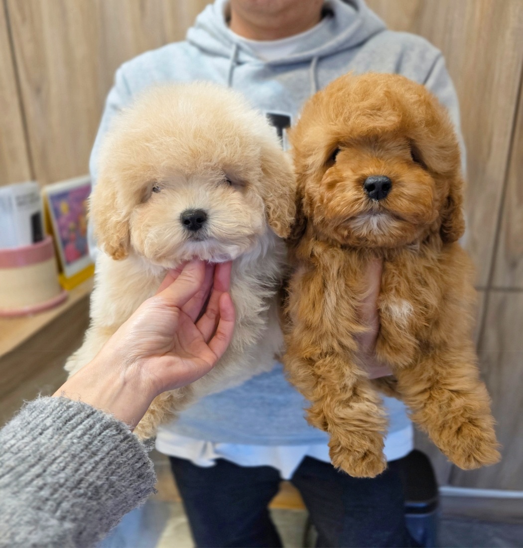 Ȯ�� �̹���