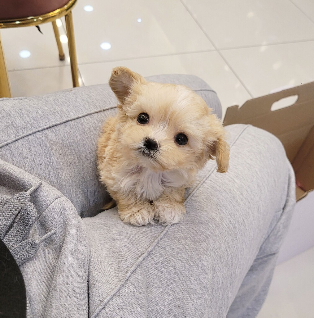 Ȯ�� �̹���