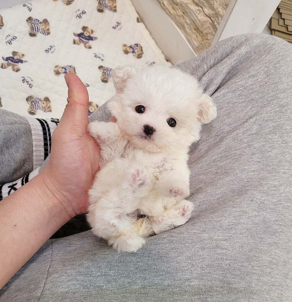 Ȯ�� �̹���