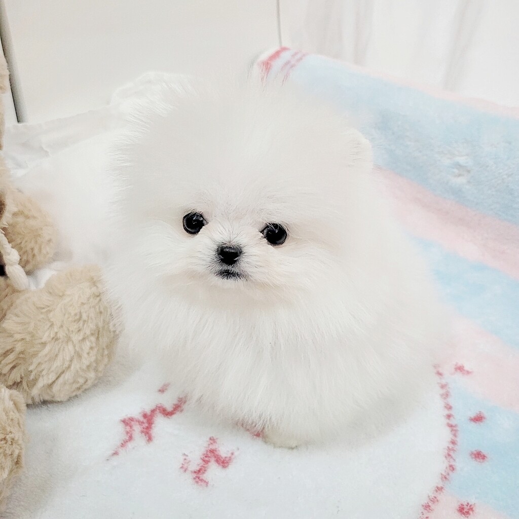 Ȯ�� �̹���