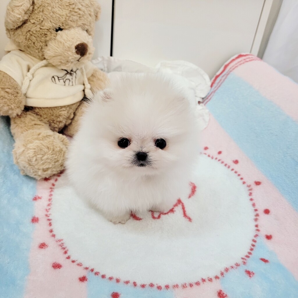 Ȯ�� �̹���